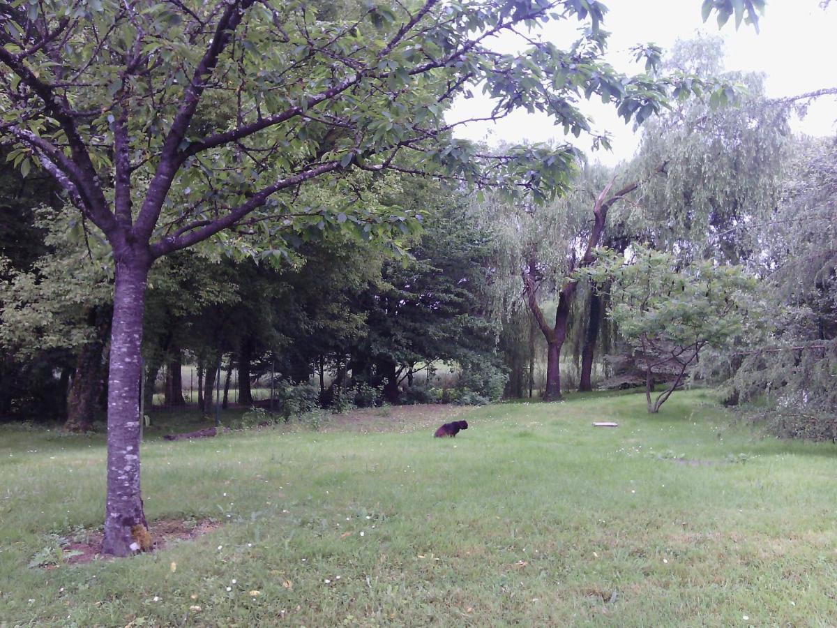 Saint-Roch Chambre Independante Dans Un Parc מראה חיצוני תמונה