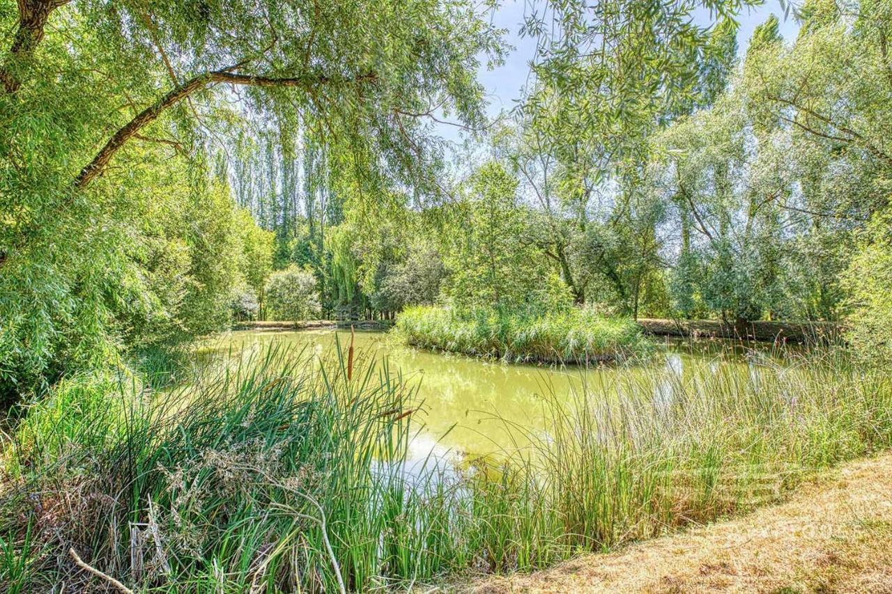 Saint-Roch Chambre Independante Dans Un Parc מראה חיצוני תמונה